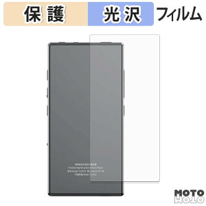 �w�� �t�B���� FiiO M33 R2R ( �w�� ) �X�L���V�[�� ����d�l ���{��