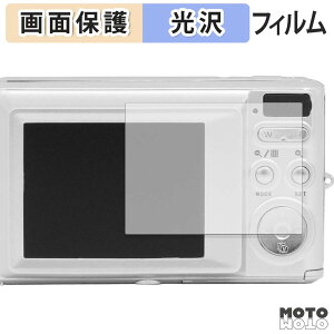 �y�|�C���g2�{�z �ی�t�B���� AGFAPHOTO Realishot DC5500 �t���ی� �t�B���� �����ߗ� ���{��