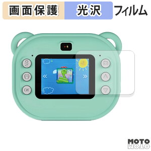 یtB VERTEX nikome v^[J NKM-PC01 t یtB dl {