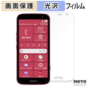 یtB FCNT 炭炭X}[gtH F-53E  tی tB dl {