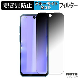 �y�|�C���g2�{�z 180�x �`�����h�~�t�B���� SOYES XS19 Pro �u���[���C�g�J�b�g �A���`�O���A ���{��