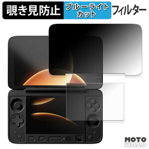 �y�|�C���g2�{�z 180�x �̂������h�~ �t�B���� AYANEO Flip 1S DS ( ���C����� / �T�u��� ) �u���[���C�g�J�b�g �A���`�O���A ���{��