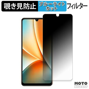 �y�|�C���g2�{�z vivo Y100 ������ 180�x �`�����h�~ �t�B���� �u���[���C�g�J�b�g �A���`�O���A ���˖h�~ ���{��