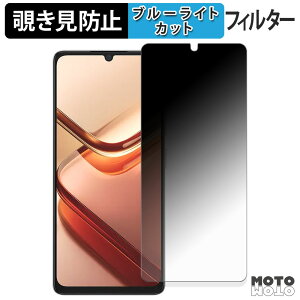 【ポイント2倍】 180度 覗き見防止フィルム DOOGEE Note 58 / 58 Pro ブルーライトカット アンチグレア 日本製