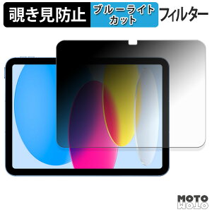 【ポイント2倍】 180度 のぞき見防止 フィルム Apple iPad ( 第10世代 ) 2022 10.9インチ ブルーライトカット アンチグレア 日本製