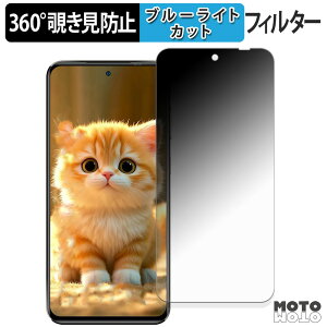 360�x �`�����h�~ �t�B���� OUKITEL C68 Plus ( ���C���f�B�X�v���C ) �ی�t�B���� �u���[���C�g�J�b�g ���{��