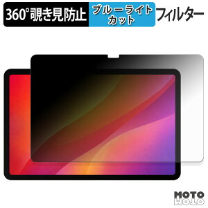 360�x �̂������h�~ �t�B���� DOOGEE AORLYM P12 �u���[���C�g�J�b�g �t�B���� ���{��