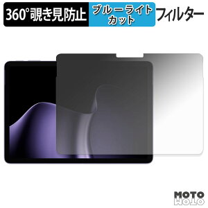 360�x �̂������h�~ �t�B���� Microsoft Surface Pro 12 �C���` ( ��2���� ) �u���[���C�g�J�b�g �t�B���� ���{��