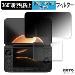 �y�|�C���g2�{�z 360�x �̂������h�~ �t�B���� AYANEO Flip 1S DS ( ���C����� / �T�u��� ) �u���[���C�g�J�b�g �t�B���� ���{��