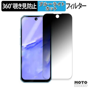 360度 覗き見防止 フィルム SERVO 19 Pro 向けの 保護フィルム ブルーライトカット 日本製