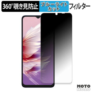 �y�|�C���g2�{�z 360�x �`�����h�~ �t�B���� Ulefone Note 21 �ی�t�B���� �u���[���C�g�J�b�g ���{��