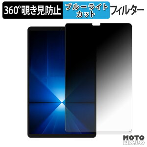 360�x �̂������h�~ �t�B���� Lenovo Legion Y700 Gen 4 ( TB322FC ) �u���[���C�g�J�b�g �t�B���� ���{��