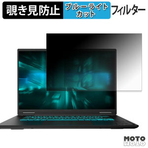 �y�|�C���g2�{�z GIGABYTE GAMING A16 GA65H �V���[�Y �`�����h�~ �v���C�o�V�[�t�B���^�[ �u���[���C�g�J�b�g �ی�t�B���� �^�u�E�S���V�[����