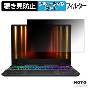 MSI Cyborg 15 B13W �`�����h�~ �v���C�o�V�[�t�B���^�[ �u���[���C�g�J�b�g �ی�t�B���� �^�u�E�S���V�[����