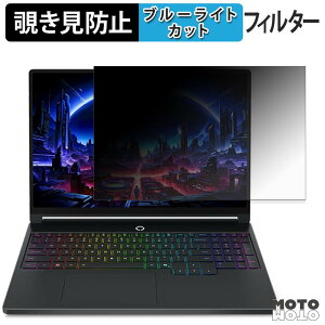 Legion 5i Gen 11 ( Intel ) / 5a Gen 11 ( AMD ) 15.3�^ �`�����h�~ �v���C�o�V�[�t�B���^�[ �u���[���C�g�J�b�g �ی�t�B���� �^�u�E�S���V�[����