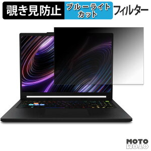 MSI Raider A16 HX B8W �`�����h�~ �v���C�o�V�[�t�B���^�[ �u���[���C�g�J�b�g �ی�t�B���� �^�u�E�S���V�[����