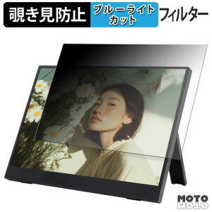 WINTEN WT-140LP-BK �`�����h�~ �v���C�o�V�[�t�B���^�[ �u���[���C�g�J�b�g �ی�t�B���� �A���`�O���A �^�u�E�S���V�[����