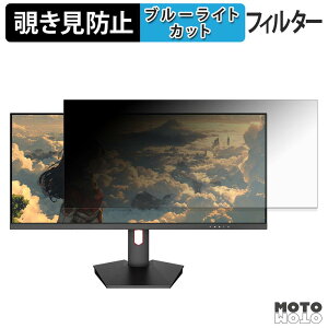 �y�|�C���g2�{�z JAPANNEXT JN-IPS29G200WF / JN-IPS29G200WF-HS �`�����h�~ �v���C�o�V�[�t�B���^�[ �u���[���C�g�J�b�g �ی�t�B���� �A���`�O���A �^�u�E�S���V�[����