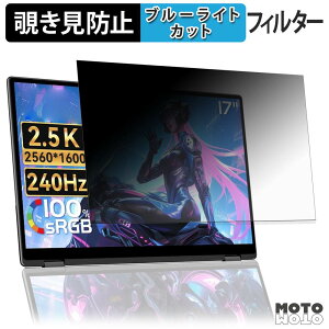 �y�|�C���g2�{�z EHOMEWEI XPHG-170NW ( ���C���f�B�X�v���C ) �`�����h�~ �v���C�o�V�[�t�B���^�[ �u���[���C�g�J�b�g �ی�t�B���� �A���`�O���A �^�u�E�S���V�[����