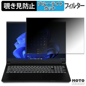 �y�|�C���g2�{�z iiyama LEVEL INFINITY 16�^ ( 16WR171 ) �V���[�Y �`�����h�~ �v���C�o�V�[�t�B���^�[ �u���[���C�g�J�b�g �ی�t�B���� �^�u�E�S���V�[����