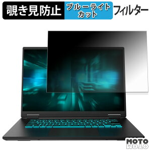 �y�|�C���g2�{�z GIGABYTE GAMING A16 GA63H �V���[�Y �`�����h�~ �v���C�o�V�[�t�B���^�[ �u���[���C�g�J�b�g �ی�t�B���� �^�u�E�S���V�[����