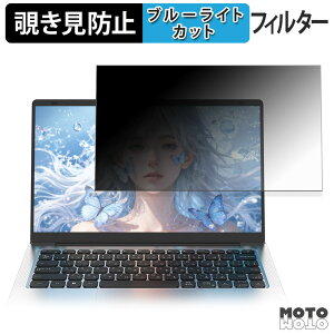 Wingame 14Q8H12G256 �`�����h�~ �v���C�o�V�[�t�B���^�[ �u���[���C�g�J�b�g �ی�t�B���� �^�u�E�S���V�[����