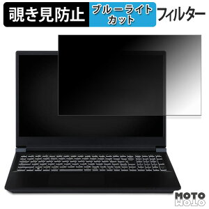 �y�|�C���g2�{�z iiyama LEVEL INFINITY 15.6�^ ( 15FX156 ) �V���[�Y �`�����h�~ �v���C�o�V�[�t�B���^�[ �u���[���C�g�J�b�g �ی�t�B���� �^�u�E�S���V�[����