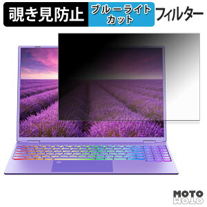 �y�y�V�X�[�p�[SALE �|�C���g2�{�z Wzbookl Smartbook DQ160 �`�����h�~ �v���C�o�V�[�t�B���^�[ �u���[���C�g�J�b�g �ی�t�B���� �^�u�E�S���V�[����