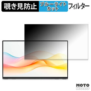 �y�|�C���g2�{�z acer amadana DP10 ( 16APM1Q J ) �`�����h�~ �v���C�o�V�[�t�B���^�[ �u���[���C�g�J�b�g �ی�t�B���� �A���`�O���A �^�u�E�S���V�[����