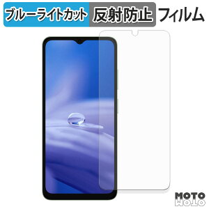 �y�|�C���g2�{�z �ی�t�B���� Ulefone Note 19 �u���[���C�g�J�b�g �t�B���� �ȖʑΉ� �A���`�O���A ���{��