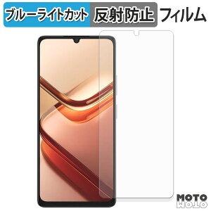 【ポイント2倍】 保護フィルム DOOGEE Note 58 / 58 Pro ブルーライトカット フィルム 曲面対応 アンチグレア 日本製