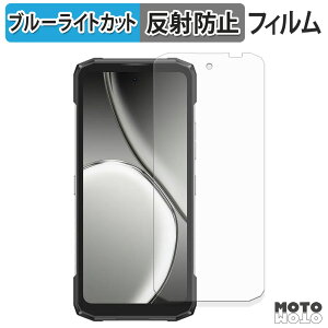 �y�|�C���g2�{�z �ی�t�B���� DOOGEE Blade20 Play �u���[���C�g�J�b�g �t�B���� �ȖʑΉ� �A���`�O���A ���{��