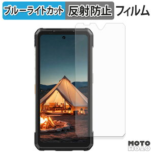 �ی�t�B���� Ulefone Armor 34 / 34 Pro �u���[���C�g�J�b�g �t�B���� �ȖʑΉ� �A���`�O���A ���{��