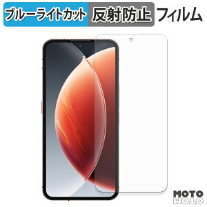 �ی�t�B���� OUKITEL WP210 �u���[���C�g�J�b�g �t�B���� �ȖʑΉ� �A���`�O���A ���{��