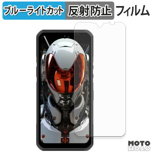 �y�|�C���g2�{�z �ی�t�B���� OUKITEL WP62 5G �u���[���C�g�J�b�g �t�B���� �ȖʑΉ� �A���`�O���A ���{��