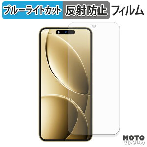 �ی�t�B���� OUKITEL P1 Pro �u���[���C�g�J�b�g �t�B���� �ȖʑΉ� �A���`�O���A ���{��