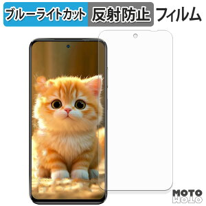 �ی�t�B���� OUKITEL C68 Plus ( ���C���f�B�X�v���C ) �u���[���C�g�J�b�g �t�B���� �ȖʑΉ� �A���`�O���A ���{��