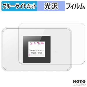 �y�|�C���g2�{�z �ی�t�B���� �y�V Rakuten WiFi Pocket 5G �u���[���C�g�J�b�g �t�B���� �ȖʑΉ� ����d�l ���{��