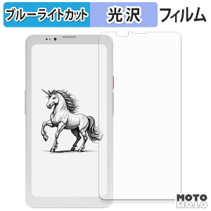 �y�|�C���g2�{�z �ی�t�B���� Bigme HiBreak Pro �u���[���C�g�J�b�g �t�B���� �ȖʑΉ� ����d�l ���{��