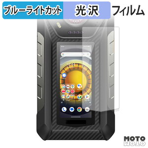 �y�|�C���g2�{�z �ی�t�B���� Ulefone Armor 30 Pro 5G ( �T�u�f�B�X�v���C ) �u���[���C�g�J�b�g �t�B���� �ȖʑΉ� ����d�l ���{��