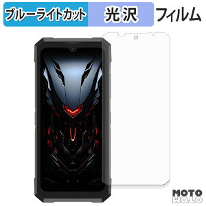 �y�|�C���g2�{�z �ی�t�B���� DOOGEE Fire 6 Max �u���[���C�g�J�b�g �t�B���� �ȖʑΉ� ����d�l ���{��