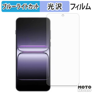 �ی�t�B���� OnePlus Nord 5 �u���[���C�g�J�b�g �t�B���� �ȖʑΉ� ����d�l ���{��