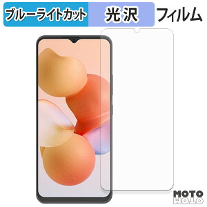 �y�|�C���g2�{�z �ی�t�B���� CUBOT A10 �u���[���C�g�J�b�g �t�B���� �ȖʑΉ� ����d�l ���{��