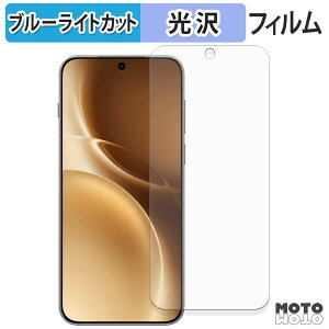 �ی�t�B���� vivo X300 Pro �u���[���C�g�J�b�g �t�B���� �ȖʑΉ� ����d�l ���{��