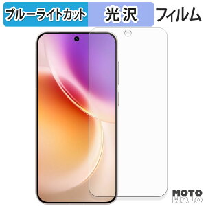 �ی�t�B���� vivo X300 �u���[���C�g�J�b�g �t�B���� �ȖʑΉ� ����d�l ���{��