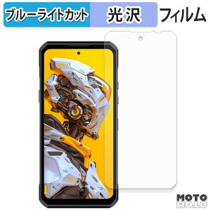 �y�|�C���g2�{�z �ی�t�B���� OUKITEL WP60 5G �u���[���C�g�J�b�g �t�B���� �ȖʑΉ� ����d�l ���{��