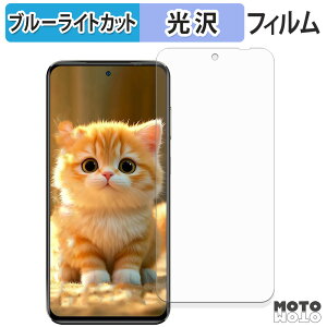 �ی�t�B���� OUKITEL C68 Plus ( ���C���f�B�X�v���C ) �u���[���C�g�J�b�g �t�B���� �ȖʑΉ� ����d�l ���{��