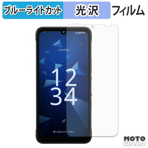 �y�|�C���g2�{�z �ی�t�B���� ���Z�� DIGNO SX5 �u���[���C�g�J�b�g �t�B���� �ȖʑΉ� ����d�l ���{��