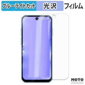 �y�|�C���g2�{�z �ی�t�B���� SOYES XS19 Pro �u���[���C�g�J�b�g �t�B���� �ȖʑΉ� ����d�l ���{��