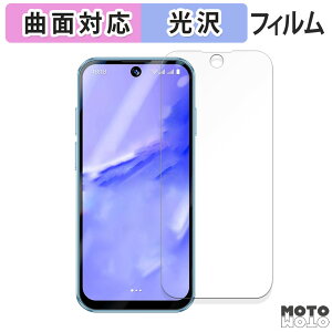 保護フィルム SERVO 19 Pro 向けの フィルム 曲面対応 光沢仕様 日本製